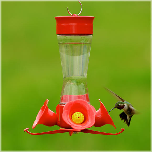 Perky Pet Pinch Waist Hummingbird Feeder