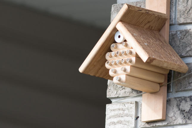 Mason Bee House