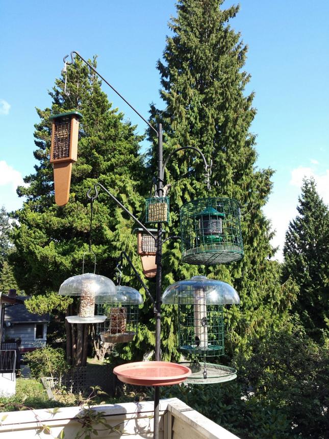 Bird Feeders