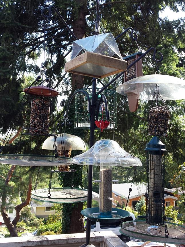 Bird Feeders