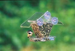 WBU Window Seed Feeder