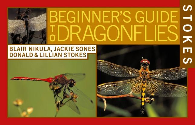 Stokes Beginners Guide Dragonflies