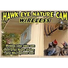 Hawk Eye Nature Cam Wireless